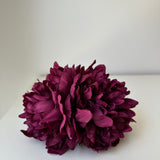 Doble Peonía berenjena tintada a mano
