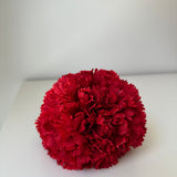 Doble clavel rojo carmín tintado a mano