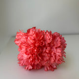 Doble clavel coral flúor tintados a mano