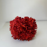 Doble clavel caldera tintados a mano