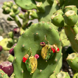Pendientes cerámica cactus