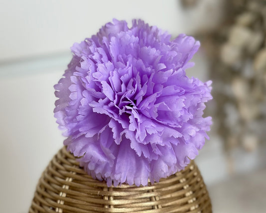 lilac carnation