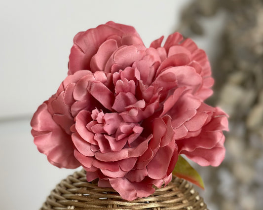 Powder pink peony