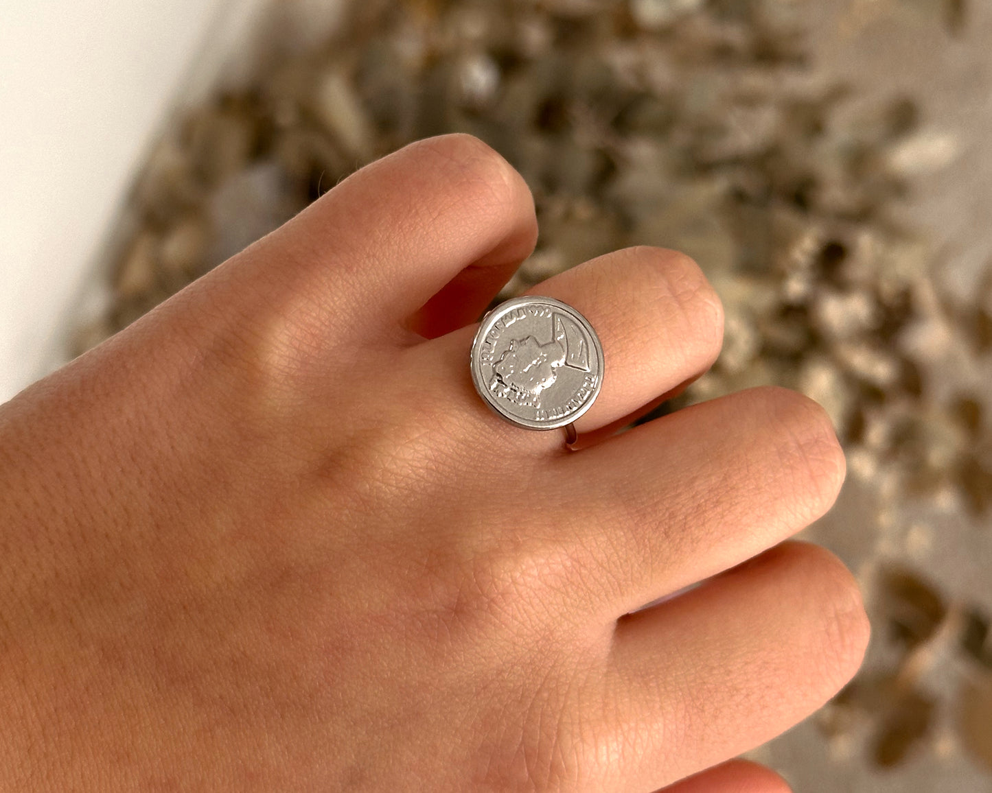 Anillo plateado moneda