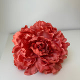 Peonía grande coral rosado tintada a mano