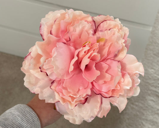 Tricolor pink peony