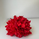 Doble Peonía coral amapola tintadas a mano