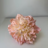 Peonía mediana melocotón rosado tintada a mano