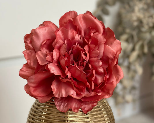 Coral Pink Peony