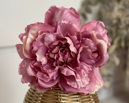 pink peony