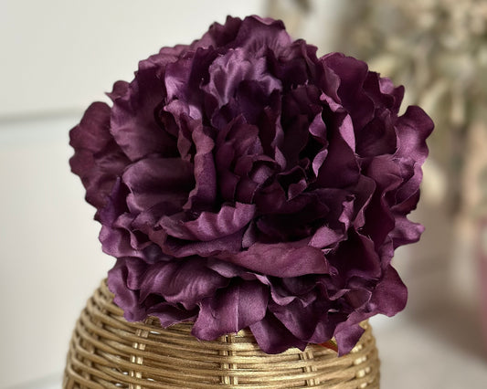 eggplant peony